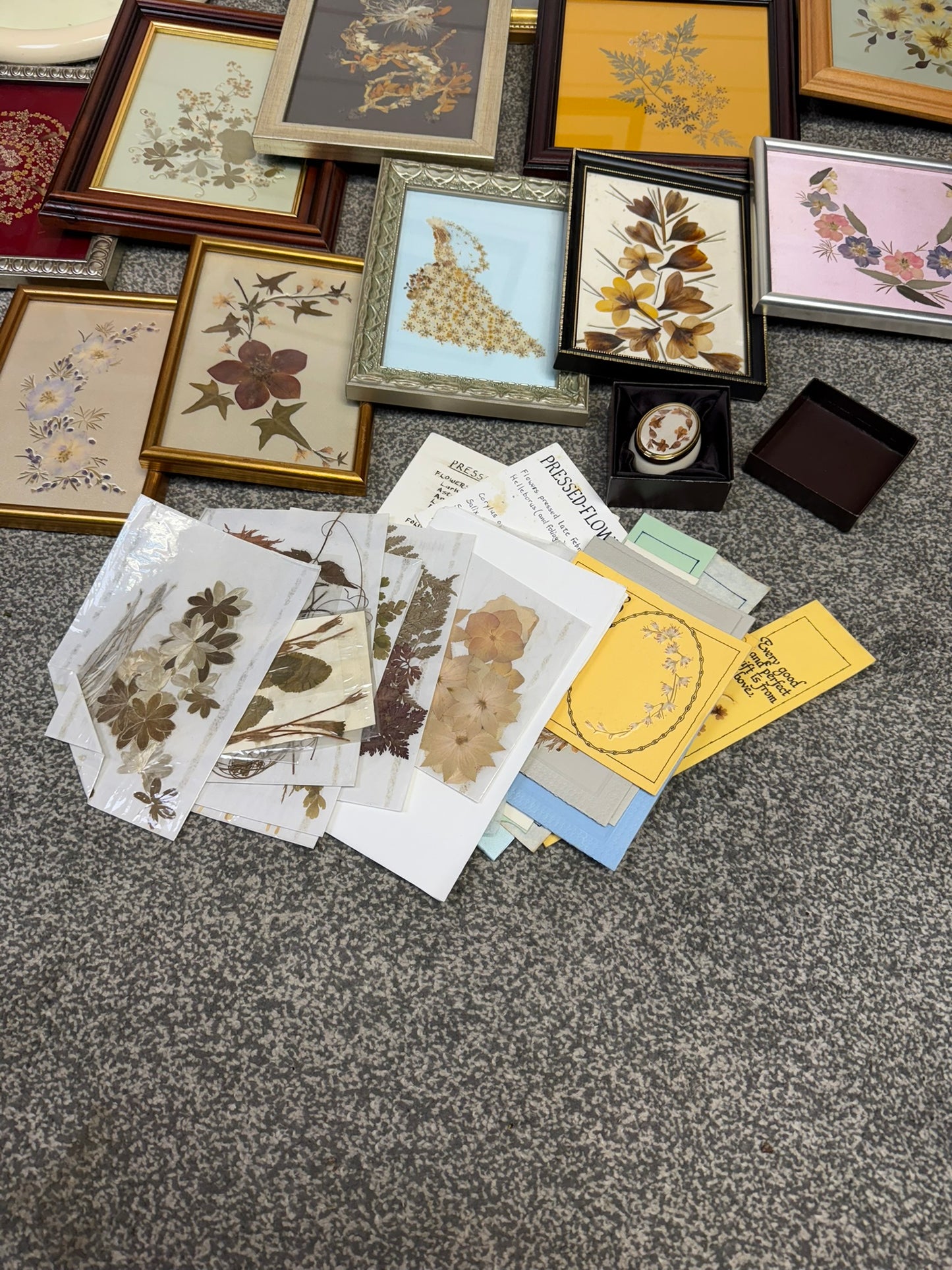 Vintage Pressed Flowers Job Lot 19x In Picture Frames Dried Flower Photo Frame Art