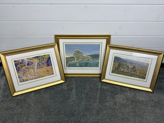 3x Stephen Gayford Limited Edition Framed Print Morning Graze, Lion King & The Brothers