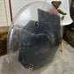 Vintage Police Circle Riot Shield Wall Art Display LARP Role Play Games Film Prop Collectible