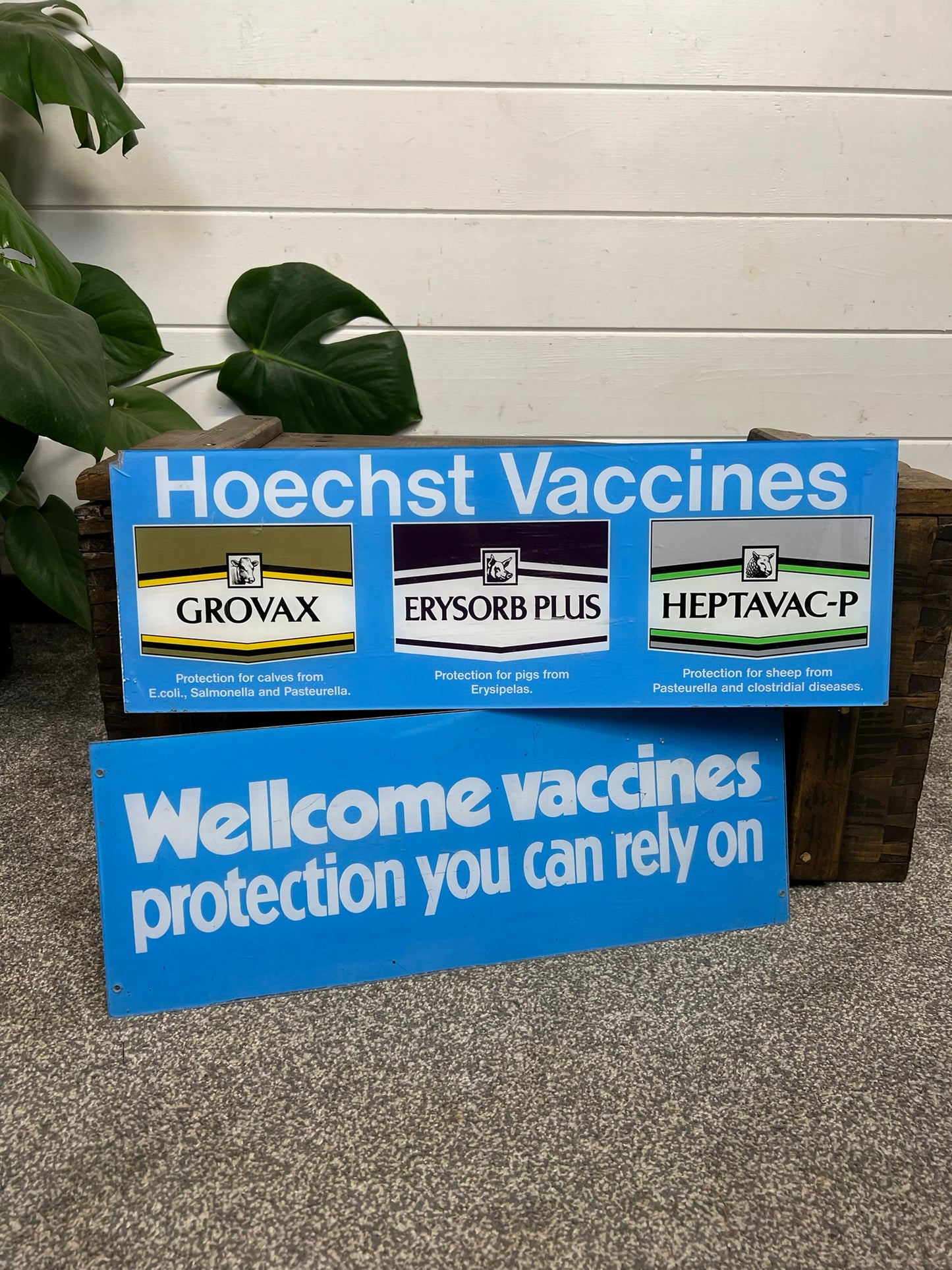 2x Vintage Hoechst Vaccine Signs Doctors Surgery Advertising Signs