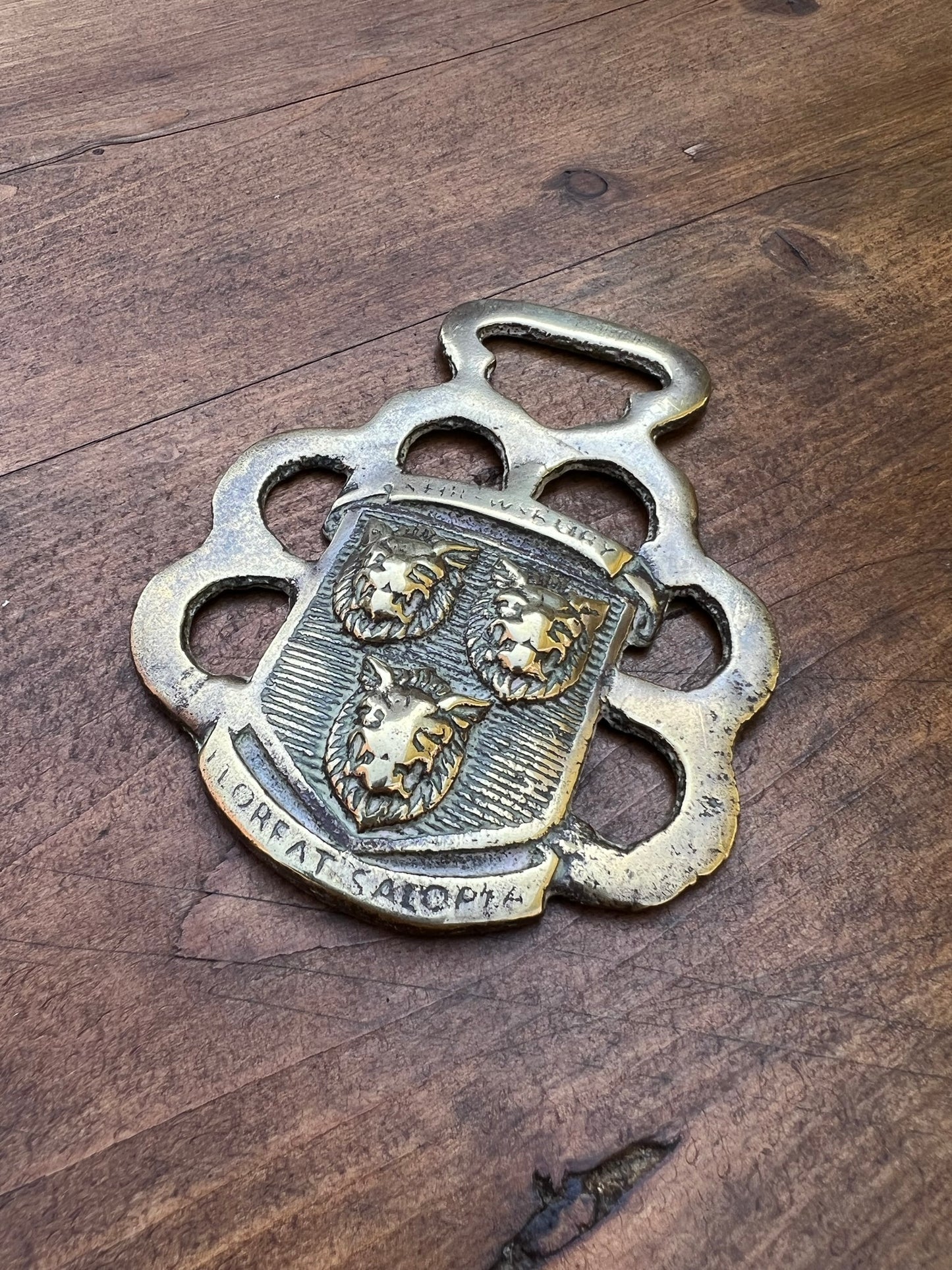 Horse Brass Shrewsbury Floreat Salopia Coat of Arms