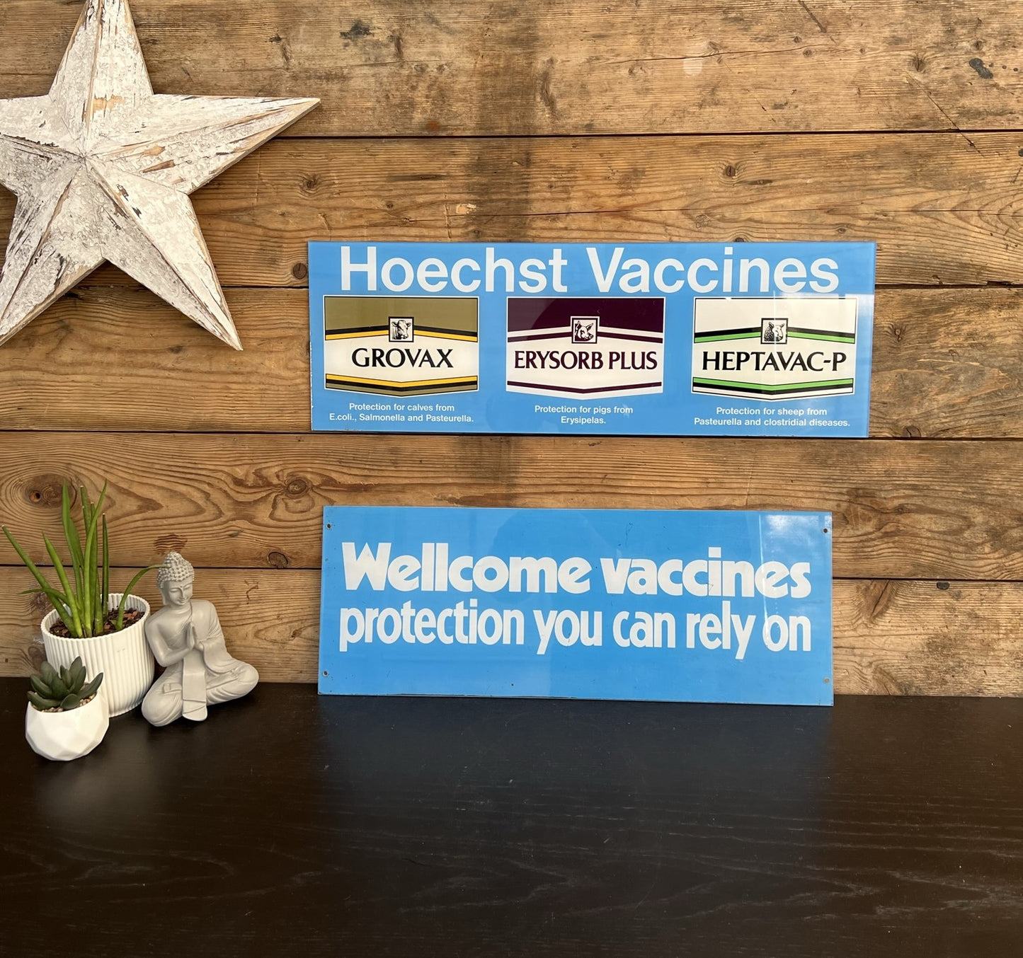 2x Vintage Hoechst Vaccine Signs Medical Promotional Advertising Signs